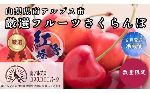 山梨県南アルプス市産 厳選さくらんぼ(紅秀峰)500g AL