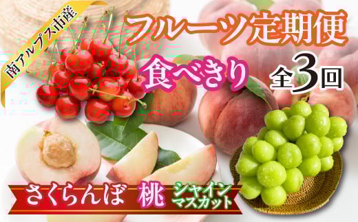 ★先行予約　【食べきり】旬のフルーツ3回定期便〈くだもの　フルーツ　さくらんぼ、桃、シャインマスカット　新鮮　農家直送　産地直送　人気　山梨県　南アルプス市　〉 ALPAJ054