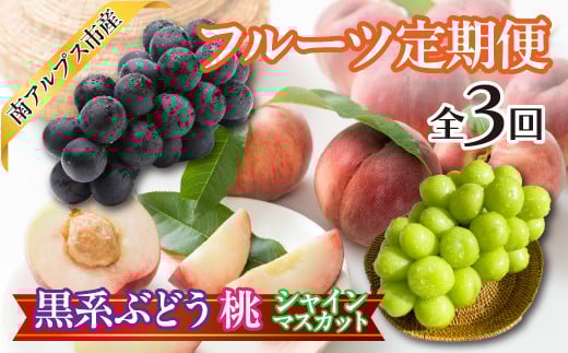 ★先行予約　おいしいくだもの3回定期便〈くだもの　フルーツ　桃　巨峰　黒系ぶどう　シャインマスカット　新鮮　農家直送　産地直送　人気　山梨県　南アルプス市　〉 ALPAJ056