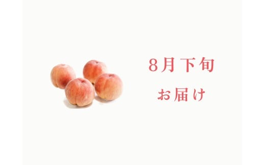 ＜2026年発送先行予約＞【8月下旬お届け】品種おまかせ！山梨県産の旬の桃 約2kg（約5〜6玉） ALPDS022
