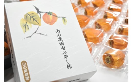 ＜2026年発送分先行予約＞【無添加】大和百目あんぽ柿12個入 ALPAJ027　| フルーツ くだもの 果物 柿 かき カキ あんぽ柿 山梨 南アルプス