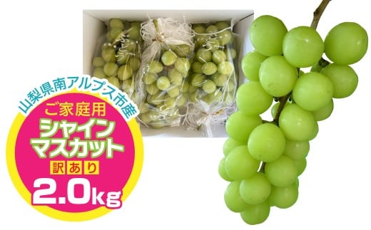 ＜2026年度発送＞ご家庭用シャインマスカット　約2.0kg　「訳あり」 ALPFN001