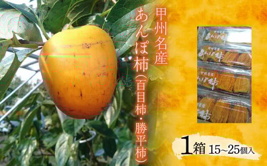 甲州名産 あんぽ柿(百目柿・勝平柿) ALPCM007 /  かき カキ 柿 百目柿 勝平柿 あんぽ柿 山梨県 山梨