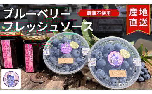 【2026年発送先行予約】南アルプス市産 【農薬不使用】フレッシュブルーベリー250g+当ファーム自家製フレッシュソース2瓶SET ALPBL003