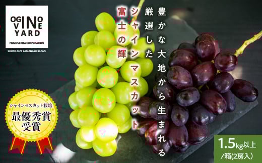 2026年秋収穫先行予約 山梨県産 富士の輝＆シャインマスカット １．5ｋｇ以上／箱 ２房入 ALPAK013｜おすすめ 人気 山梨県 産地直送 フルーツ 果物 くだもの ブドウ ぶどう シャイン マスカット 黒ぶどう 高級 くだもの 国産 葡萄 新鮮