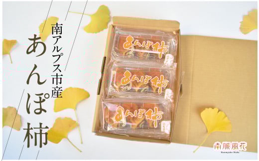 【2025年11月初旬より発送予定】5-277 南アルプス市産 あんぽ柿 9玉 ALPAJ025