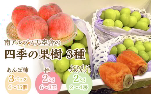 南アルプス天空舎四季の果樹３種その１（あんぽ柿,もも,シャインマスカット） ALPAB007