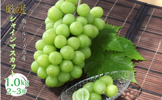 ＜2026年発送先行予約＞厳選! シャインマスカット 1.0kｇ 2～3房 山梨県南アルプス市産 ALPBV005
