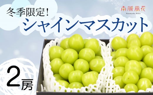 ＜2025年発送分先行予約＞冬に食べる　シャインマスカット2房 ALPAJ010　| シャインマスカット ぶどう フルーツ 冬 シャイン 2房 南アルプス市 山梨 山梨県 |