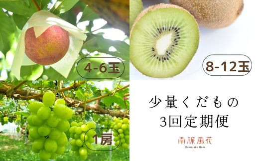 南アルプス市からのちいさな贈り物！少量くだもの定期便 ALPAJ003