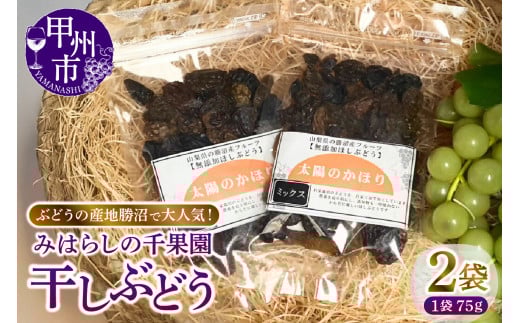 ぶどうの産地勝沼で大人気！みはらしの千果園の干しぶどう2袋（MG）A04-360
