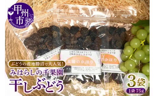 ぶどうの産地勝沼で大人気！みはらしの千果園の干しぶどう3袋（MG）A07-360