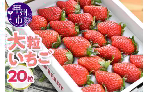 大粒いちご(20粒)【2025年発送】(KSB)B14-101