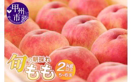 旬の朝採れ特選大玉もも 2.0kg以上(5~6玉)【2026年発送】(HO)B-411