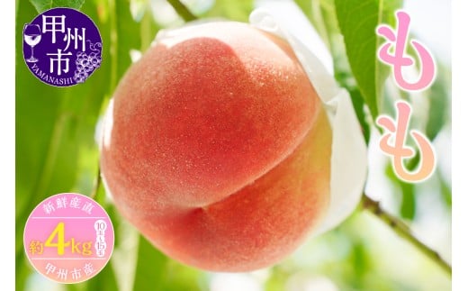 新鮮産直 甲州市！桃 約4kg 10～15玉【2026年発送】（KSF）C-461 【桃 もも モモ 令和8年発送 期間限定 山梨県産 甲州市 フルーツ 果物】