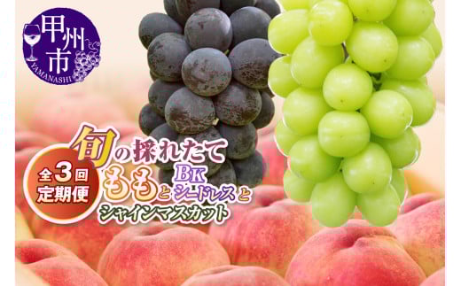 【定期便】旬の採れたて3回定期便（桃・BKシ―ドレス・シャインマスカット）【2026年発送】（HO）C9-412
