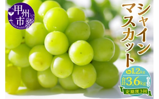 新鮮産直!甲州市・シャインマスカット3回定期便【2026年発送】(KSF)D5-125