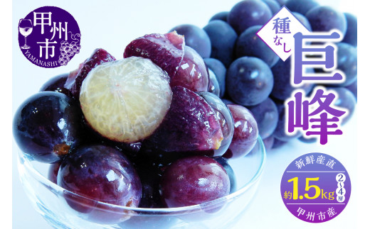 新鮮産直甲州市！種なし巨峰 約1.5kg 2～4房【2026年発送】（KSF）B12-461
