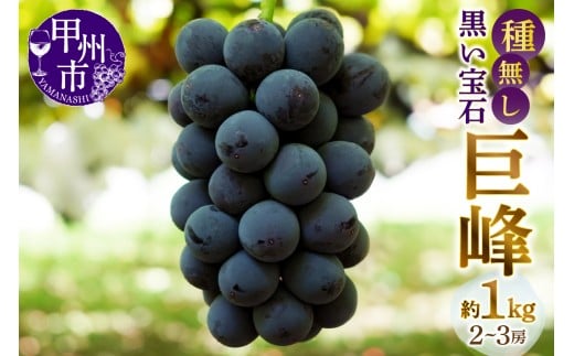 甲州市産種無し巨峰 約1kg（2房～3房）【2026年発送】（MG）B-499 【巨峰 ぶどう 葡萄 ブドウ 令和8年発送 期間限定 山梨県産 甲州市 フルーツ 果物】
