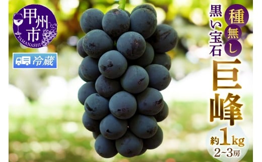 【クール便発送】甲州市産種無し巨峰 約1kg（2房～3房）【2026年発送】（MG）B-499CO 【巨峰 ぶどう 葡萄 ブドウ 令和8年発送 期間限定 山梨県産 甲州市 フルーツ 果物】
