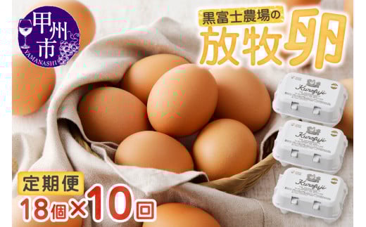 甲州放牧卵の定期便 18個×10回 F-503【卵 たまご 放牧卵 定期便】