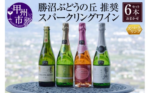 勝沼ぶどうの丘推奨スパークリングワイン6本セット（KBO）F-603【ワイン スパークリングワイン 甲州市 山梨県】