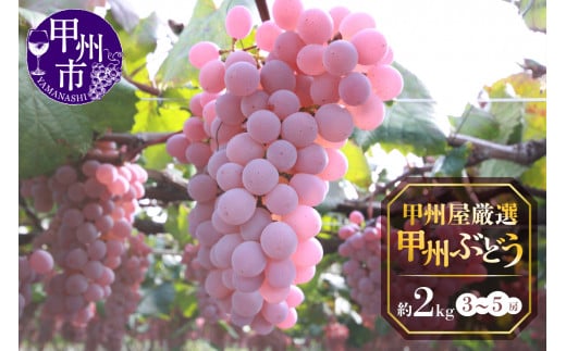 甲州屋厳選 甲州ぶどう 約2kg（3～5房）【2025年発送】B-119 【甲州 ぶどう 葡萄 ブドウ 令和7年発送 期間限定 山梨県産 甲州市 フルーツ 果物】
