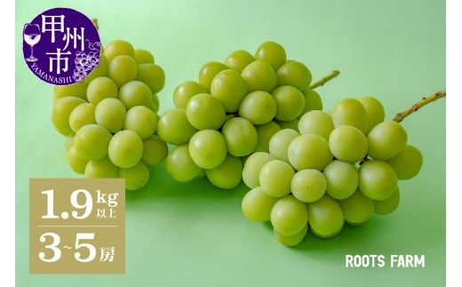 [数量限定]高品質なROOTS FARMシャインマスカット 1.9kg以上 3〜5房入[2026年発送](RO)C1-135 [シャインマスカット 葡萄 ぶどう 令和8年発送 2026年発送 期間限定 先行予約 種なし ブドウ 山梨県産 甲州市 新鮮 高品質 ギフト フルーツ]