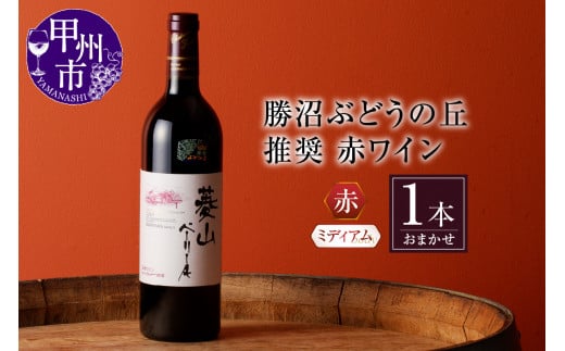 勝沼ぶどうの丘推奨 赤ワイン（ミディアムボディ）1本（KBO）B-653【ワイン 赤ワイン 甲州市 山梨県】
