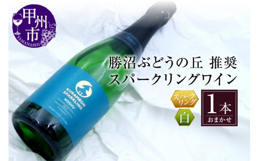 勝沼ぶどうの丘推奨 スパークリングワイン 白 1本（KBO）B-681【ワイン スパークリングワイン 白ワイン 甲州市 山梨県】