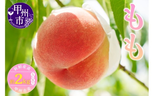 新鮮産直 甲州市！桃 約2kg 5～8玉【2026年発送】（KSF）B12-462 【桃 もも モモ 令和8年発送 期間限定 山梨県産 甲州市 フルーツ 果物】