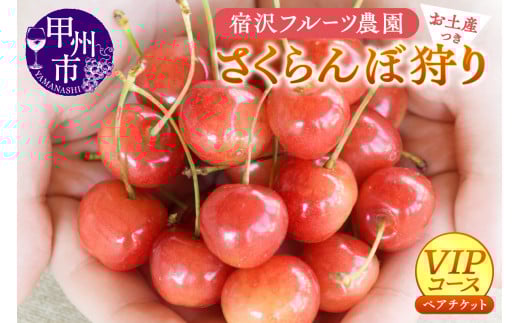 【宿沢フルーツ農園】さくらんぼ狩り『VIPコース』ペアチケットお土産付き約300g（1箱付き）（SF）D-145