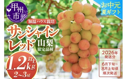 クール配送［お中元対応］山梨県限定品種 サンシャインレッド 合計1.2kg以上【2026年発送】（MS）F-111 【サンシャインレッド ぶどう 葡萄 ブドウ 令和8年発送 期間限定 山梨県産 甲州市 フルーツ 果物 クール便】