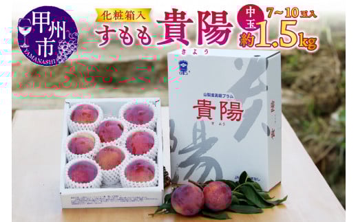 【宿沢フルーツ農園】すもも『貴陽』約1.5kg 化粧箱中玉（7～10玉）【2026年発送】（SF）B12-143 【貴陽 すもも スモモ 令和8年発送 期間限定 山梨県産 甲州市 フルーツ 果物】