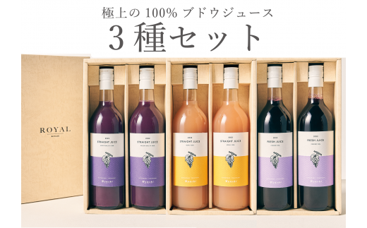 葡萄ジュース3種セット甲州”マスカット・ベーリーA”コンコード計6本(BNC)　F5-701