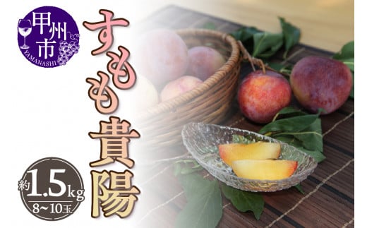 厳選！山梨県甲州市産 貴陽 すもも 約1.5kg（8～10玉）【2026年発送】（THR）B13-810 【貴陽 すもも スモモ 令和8年発送 期間限定 山梨県産 甲州市 フルーツ 果物】