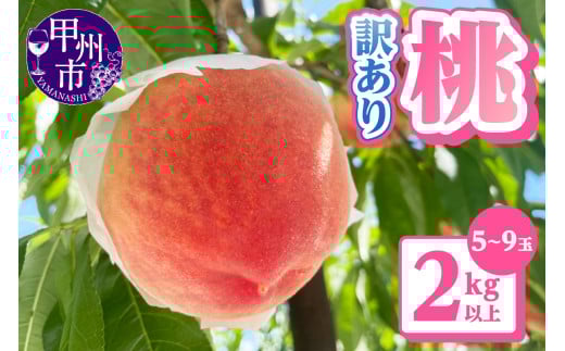 【訳あり】桃5~9玉2kg以上【2026年発送】(AGB)A09-876【わけあり 桃 もも モモ 令和8年発送 期間限定 山梨県産 甲州市 フルーツ 果物】