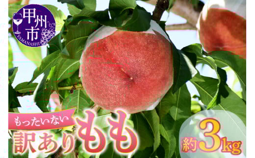 訳ありの桃《大容量》約3kg【2026年発送】(MG)A08-470 【桃 もも モモ 令和8年発送 期間限定 山梨県産 甲州市 フルーツ 果物】