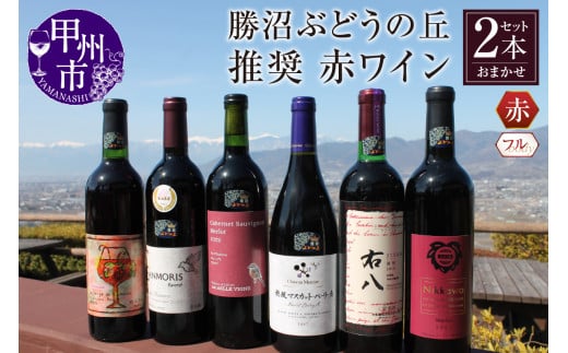 勝沼ぶどうの丘推奨 赤ワイン（フルボディ）2本セット（KBO）C8-610【ワイン 赤ワイン 甲州市 山梨県】