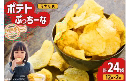【期間限定発送】 ポテトチップス うすしお 100g 12袋入 2箱 計24袋 2.4kg ポテトぷっちーな [クレヨン農園 北海道 剣淵町 14656349] ポテトチップ ポテチ しお お菓子 スナック菓子 スナック チップス じゃがいも
