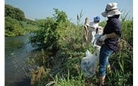 004 公益活動(ボランティア活動や市民活動)の促進