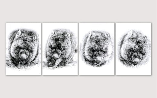 【77-06】ウォンバット ポストカード 4枚セット