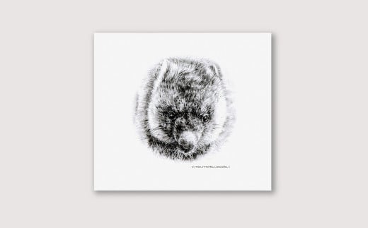 【77-03】ウォンバット（ワイン） 鉛筆画 レプリカ
