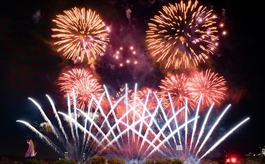 【66-03】第4回 万博夜空がアートになる日 花火鑑賞チケット パノラマシート(大人1名様分)