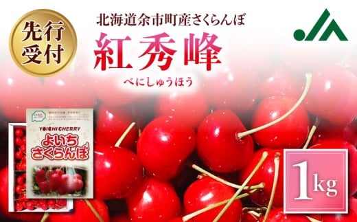 【先行受付：2026年7月中旬以降発送分】さくらんぼ (紅秀峰) 1kg