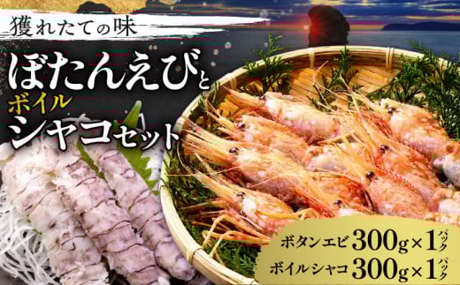 [獲れたての味!]ボタンエビ 300g × 1パック・ボイルシャコ 300g × 1パック 計600g