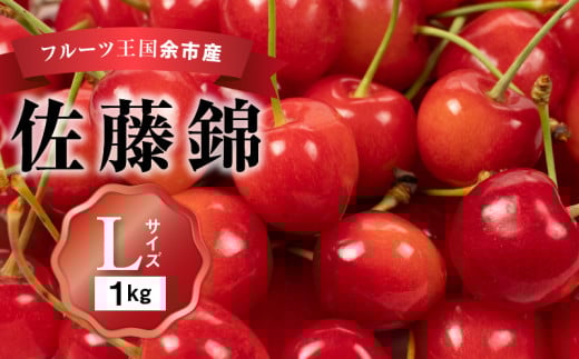 2025年発送【先行予約】令和7年産 佐藤錦【Lサイズ】500g×2【ニトリ観光果樹園】さくらんぼの王様 余市 北海道 フルーツ王国 さくらんぼ サクランボ 桜桃 佐藤錦 余市産さくらんぼ 人気さくらんぼ ニトリ
