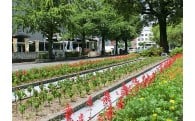花と緑あふれるまちづくりに関する事業