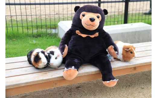 周南のほほんマレーグマ | ぬいぐるみ 動物 動物園 くま マレーグマ ギフト 贈り物 プレゼント 癒し