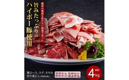 山口県産豚切り落とし4kgセット│携帯の電波も届かない環境で育った旨みたっぷりのハイポー豚